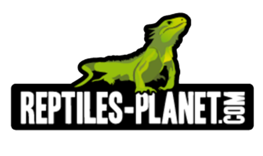 reptileplanet