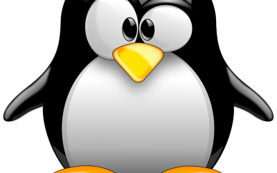 Quelles sont les meilleures distributions de Linux en 2022 ?