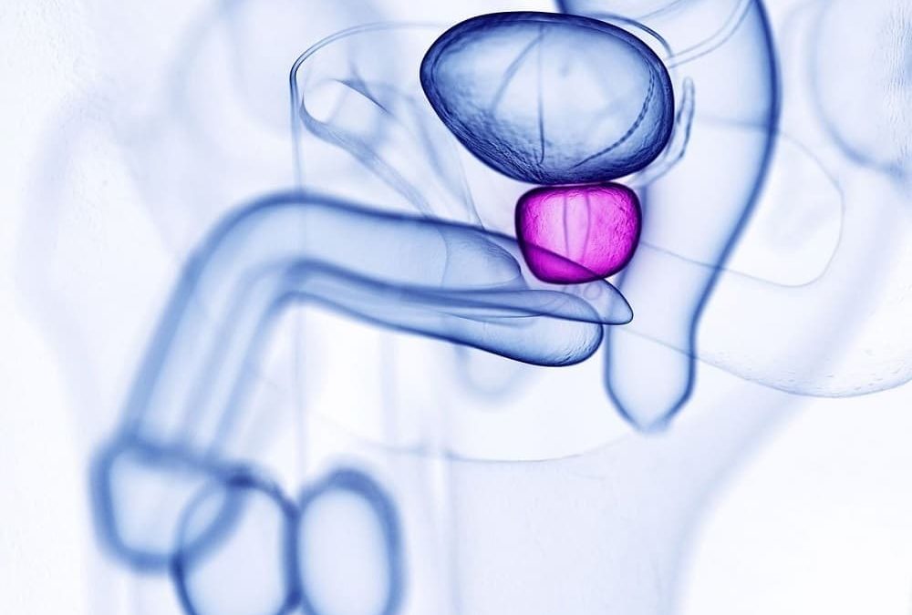 Comment prendre soin de sa prostate ?