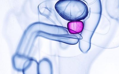 Comment prendre soin de sa prostate ?