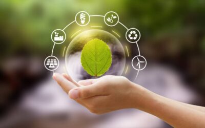Qu&rsquo;est-ce que l&rsquo;environnement social d&rsquo;une entreprise ?