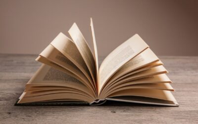 La Convention sur la protection et la promotion de la diversité des expressions culturelles, un texte qui continue de peser