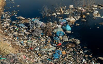 Pollution marine : l’urgence de comprendre ses origines pour mieux y remédier