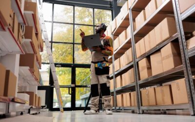 Next Terra International : quel est le rôle réel de l’entreprise dans la logistique ?