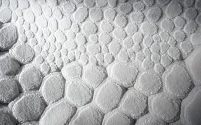 La Berge : comment le Tapis de Bain Galet est devenu la signature d’une marque française